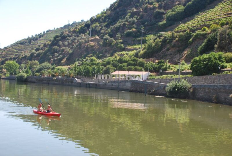Pinhão: Douro Valley Rabelo Boat Tour and Kayak Experience - Inclusions