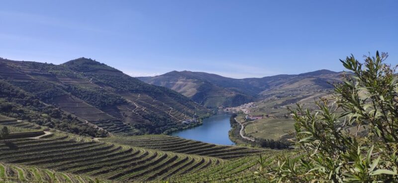 Pinhão: Douro Valley With Wine Tasting, Boat Trip and Lunch - Douro Valley Experience