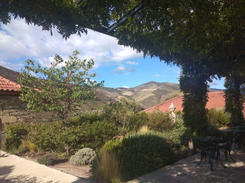 Pinhão: Douro Valley With Wine Tasting, Boat Trip and Lunch - Customer Feedback