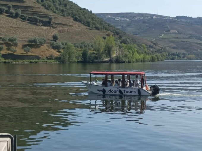 Pinhão: Douro Valley With Wine Tasting, Boat Trip and Lunch - Wine Tasting at Local Wineries