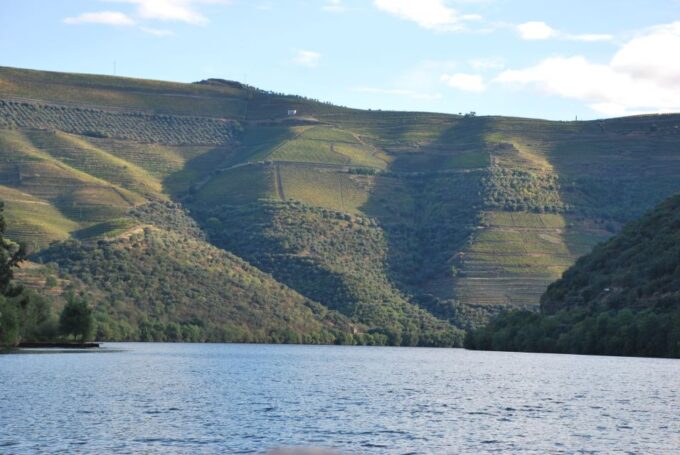 Pinhão: Private Rabelo Boat Tour Along the River Douro - Customer Feedback