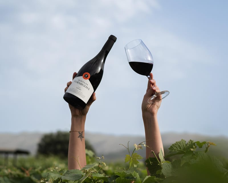 Pinhão: Quinta Da Formigosa Vineyard Tour and Wine Tasting - Wine Tasting and Education