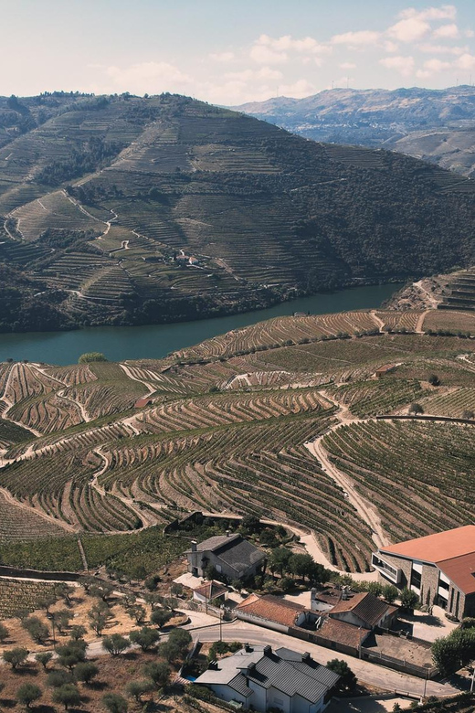 Pinhão: Quinta Da Formigosa Vineyard Tour and Wine Tasting - Accessibility and Recommendations