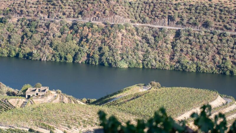 Pinhão: Quinta Da Formigosa Vineyard Tour and Wine Tasting - Scenic Drive to Vineyard