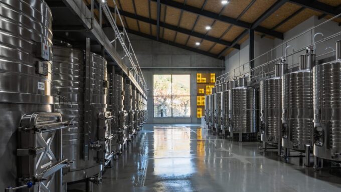 Pinhão: Quinta Da Formigosa Vineyard Tour and Wine Tasting - Guided Tour of Vineyard