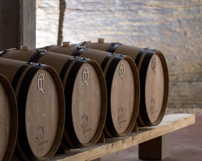 Pinhão: Quinta Da Formigosa Vineyard Tour and Wine Tasting - Tasting Room and Panoramic Views