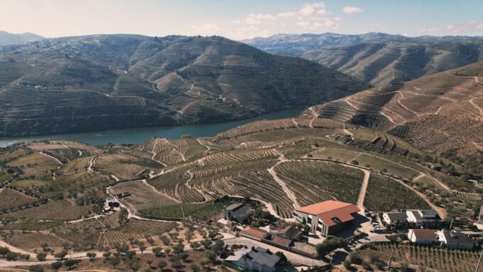 Pinhão: Quinta Da Formigosa Vineyard Tour and Wine Tasting - Frequently Asked Questions