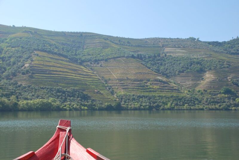 Pinhão: Rabelo Boat 1-Hour Tour - Boat Features