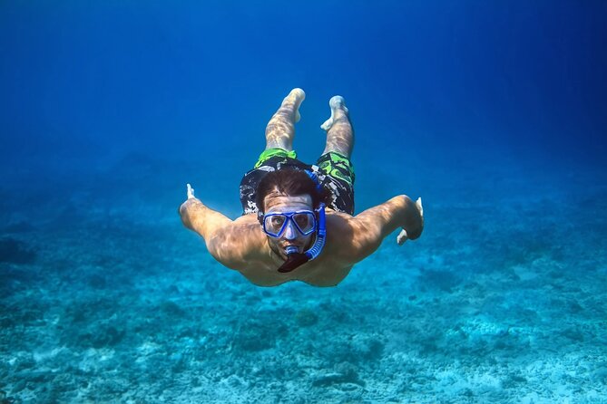 Pink Dolphin Spotting & Snorkelling Day Tour At Pigs Island - Snorkeling and Wildlife Experience