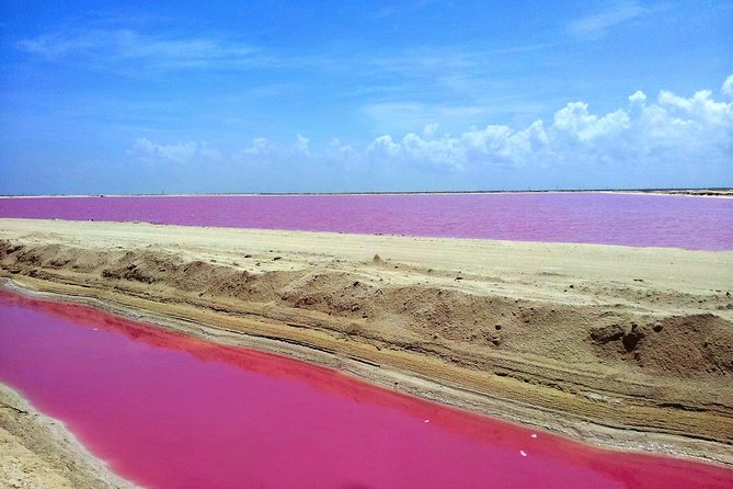 Pink Lagoon & Rio Lagartos Reserve From Playa Del Carmen - Inclusions and Pricing