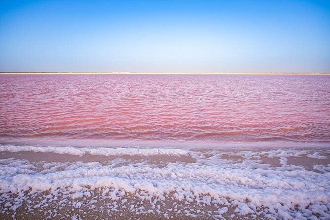 Pink Lagoon & Rio Lagartos Reserve From Playa Del Carmen - Reviews and Experiences