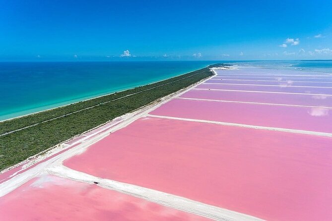 Pink Lagoon & Rio Lagartos Reserve From Playa Del Carmen - Tips for a Great Trip