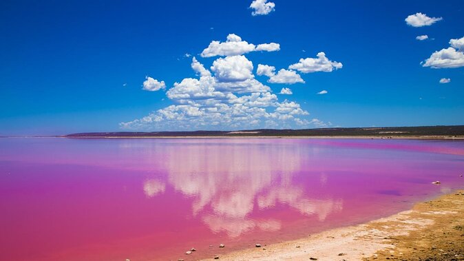 Pink Lake Small-Group Buggy Tour - Unique Landscape Experience