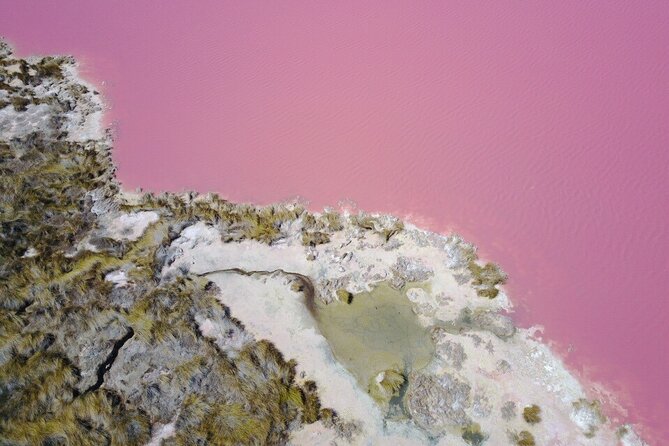 Pink Lake Small-Group Buggy Tour - Accessibility and Inclusions