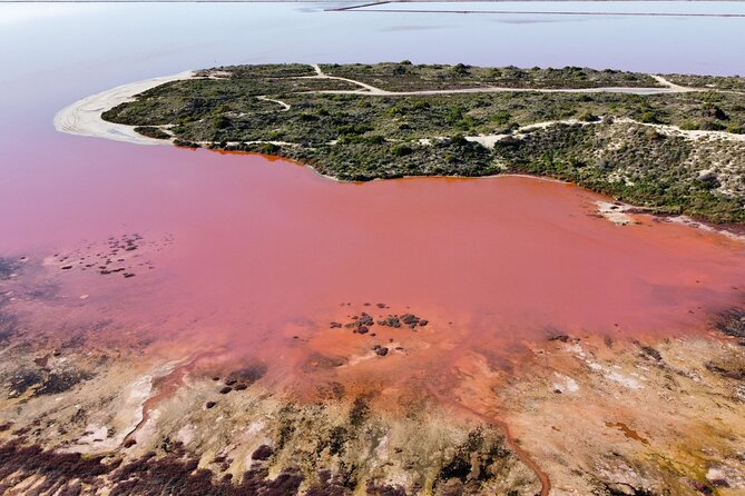 Pink Lake Small-Group Buggy Tour - Booking and Cancellation