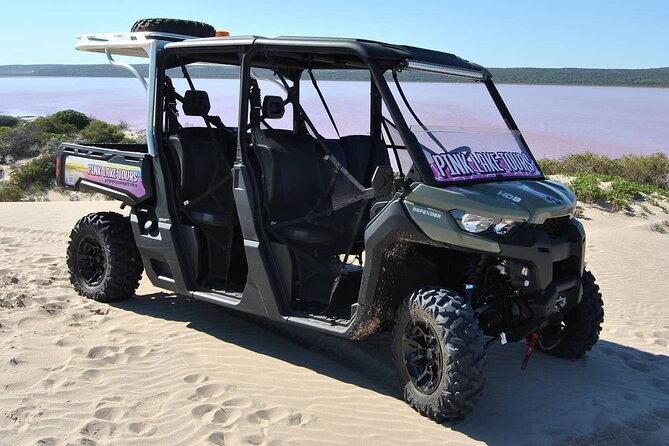 Pink Lake Small-Group Buggy Tour - Guided Tour Highlights