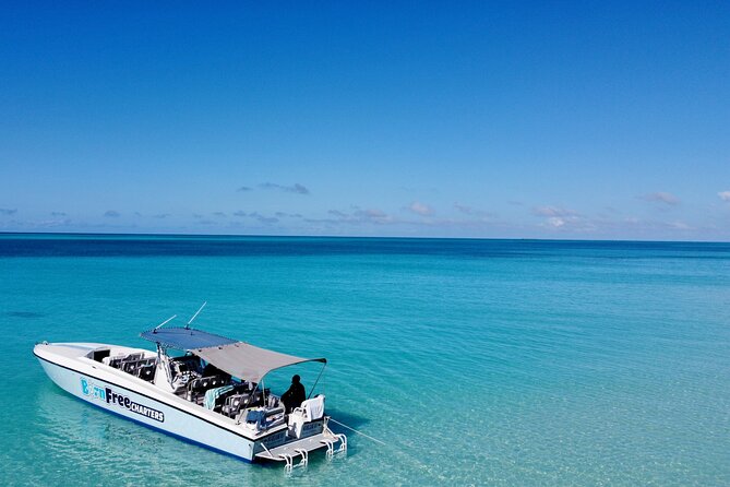 Pink Sand Beach and Swimming Pigs Adventure From Nassau - Health and Safety Considerations
