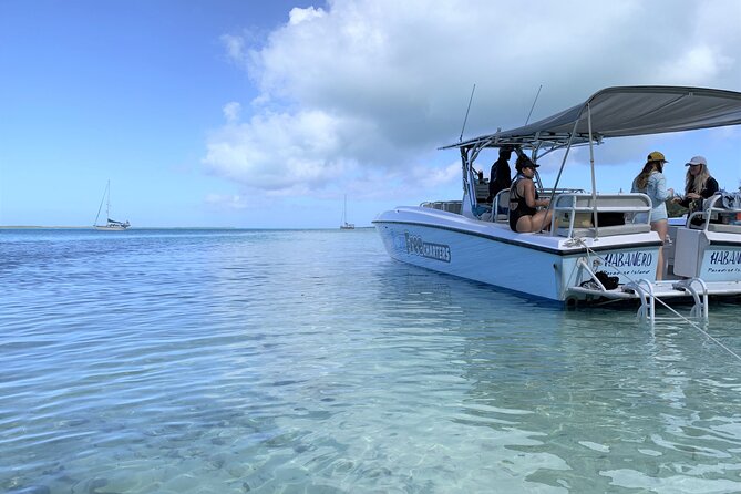 Pink Sand Beach and Swimming Pigs Adventure From Nassau - Encounter With the Swimming Pigs
