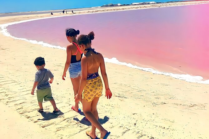 Pinktastic Lagoon Adventure Las Coloradas & Rio Lagartos From Cancun - Preparation and Cancellation Policy