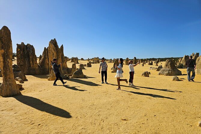 Pinnacle Day Adventure Tour - Exploring the Pinnacle Day Adventure Tour: An Authentic Australian Experience