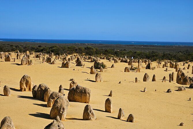 Pinnacle Day Adventure Tour - A Day in the Desert and Dunes: The Itinerary Breakdown