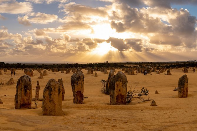 Pinnacle Desert Sunset and Night-Time Stargazing Tour From Perth - Meeting Point