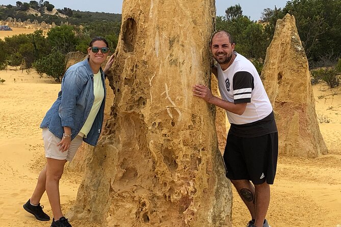 Pinnacles Day Tour - Nambung Desert and Pinnacles