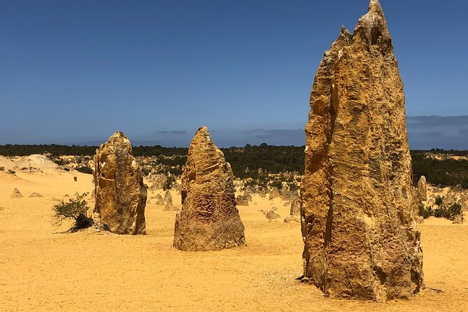 Pinnacles Day Tour - Cervantes and Beach Walk