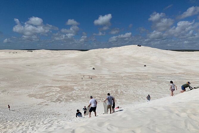 Pinnacles Day Trip From Perth Including Yanchep National Park - Tour Duration and Comfort