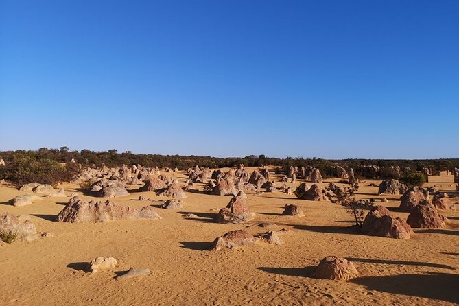 Pinnacles Day Trip From Perth Including Yanchep National Park - Departure and Return Details