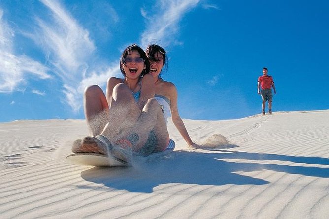 Pinnacles Desert, Koalas and Sandboarding 4WD Day Tour From Perth - Tour Reviews