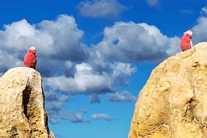 Pinnacles Desert Private Day Tour - Accessibility and Participation