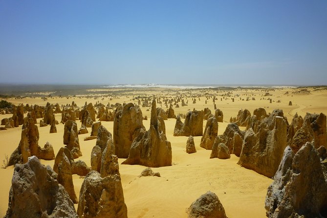 Pinnacles Desert Private Tour - Visiting Caversham Wildlife Park