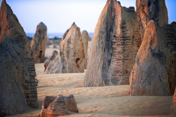 Pinnacles Desert, Yanchep and Swan Valley With Lunch - Tour Highlights