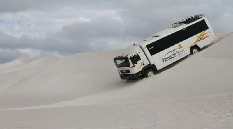 Pinnacles, Koalas & Sandboarding Tour Day Trip from Perth - Key Points