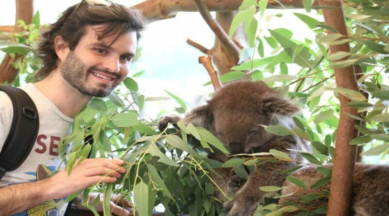 Pinnacles, Koalas & Sandboarding Tour Day Trip from Perth - What Travelers Say