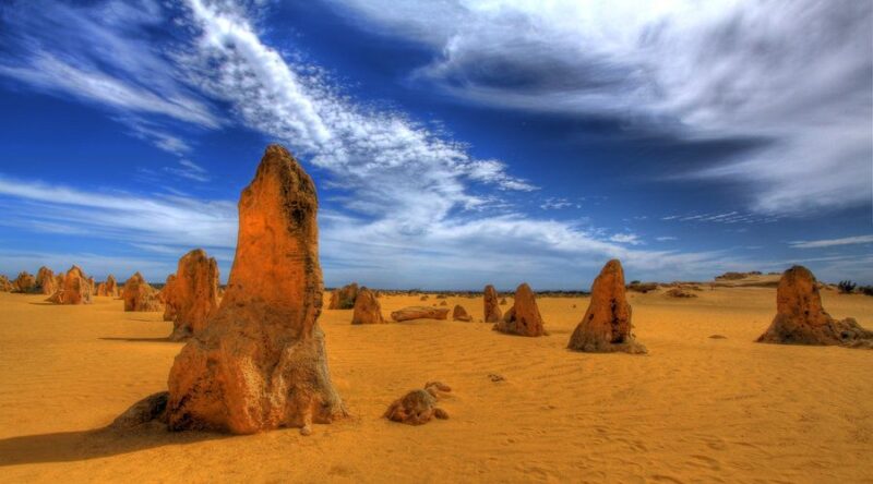 Pinnacles, Koalas & Sandboarding Tour Day Trip From Perth - Highlights of the Tour