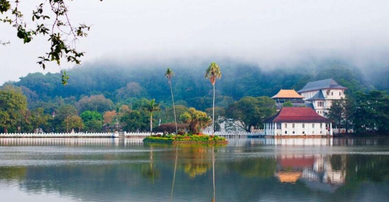 Pinnawala & Kandy Day Tour From Negombo - Itinerary Highlights