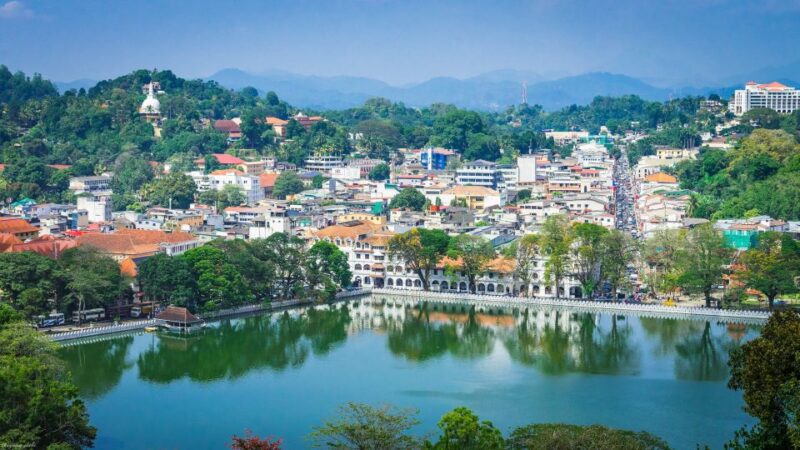 Pinnawala & Kandy Day Tour From Negombo - Customer Reviews