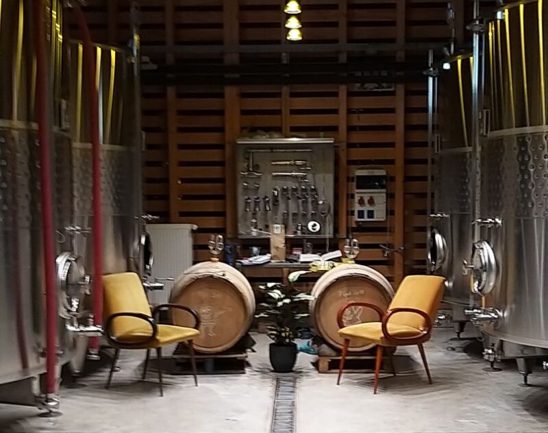 Pinot Noir in Baden-Württemberg. - Winery Visits