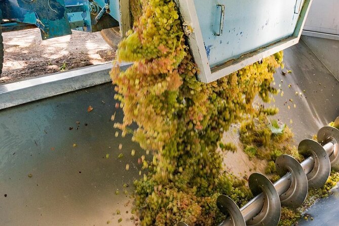 Pinot Noir & Pinot Wine Tour to Baden-Württemberg - Tour Overview