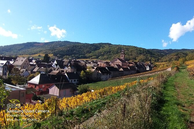 Pinot Noir & Pinot Wine Tour to Baden-Württemberg - Participant Requirements