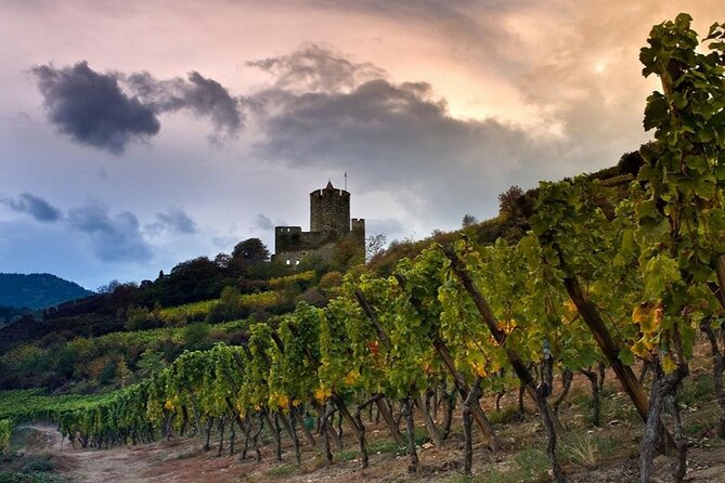 Pinot Noir & Pinot Wine Tour to Baden-Württemberg - Savoring the Local Cuisine