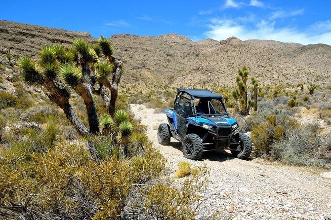 Pioneer Desert Adventure With Lunch at the Historic Pioneer Saloon! - Lunch at the Pioneer Saloon