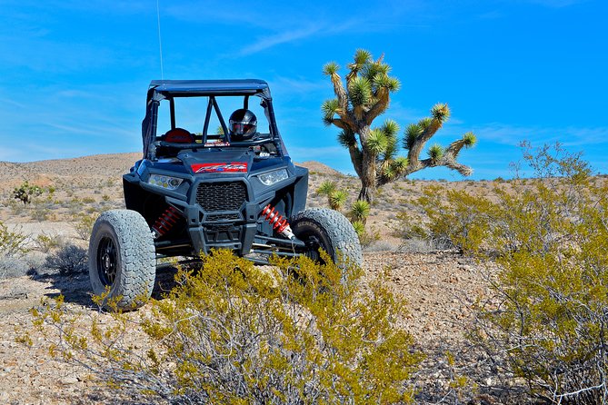 Pioneer Desert Adventure With Lunch at the Historic Pioneer Saloon! - Tour Guide Expertise