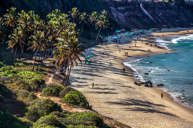 Pipa Beach Day Tour From Natal - Transportation and Logistics