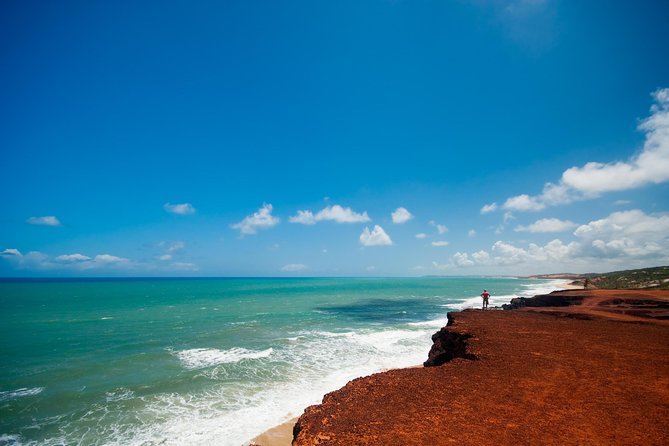 Pipa Beach Day Tour From Natal - What to Expect During the Tour