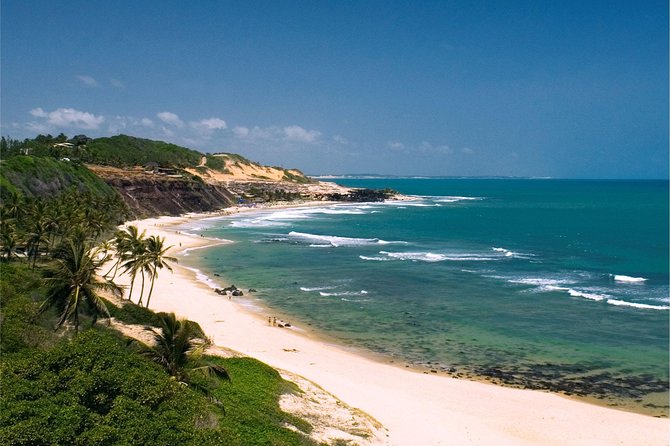Pipa Beach Day Tour From Natal - Feedback and Reviews