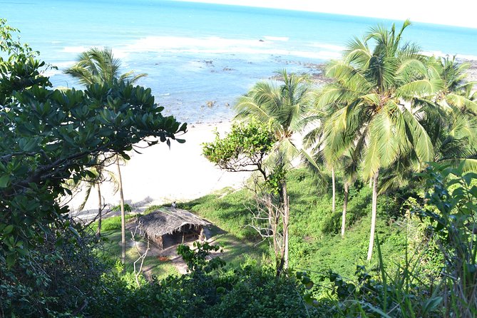 Pipa Beach Tour - Leaving Natal - Pricing and Payment