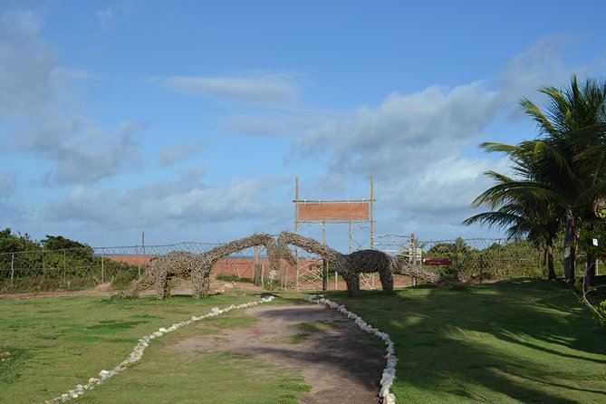 Pipa Beach Tour - Leaving Natal - Departure and Return